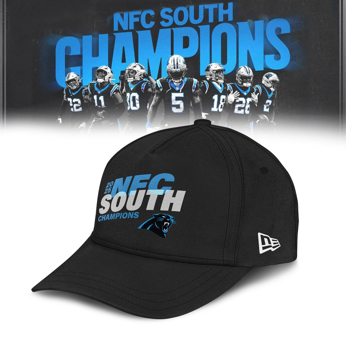 _ Carolina Panthers 2025 NFC South Division Champions T-Shirt