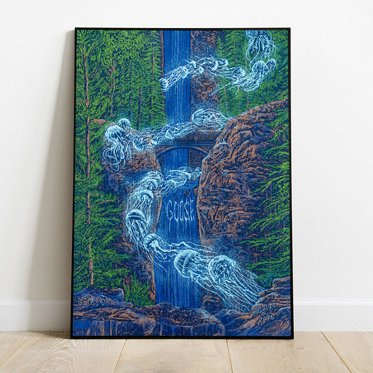 Limited Edition Goose – Big Tour 2026 poster