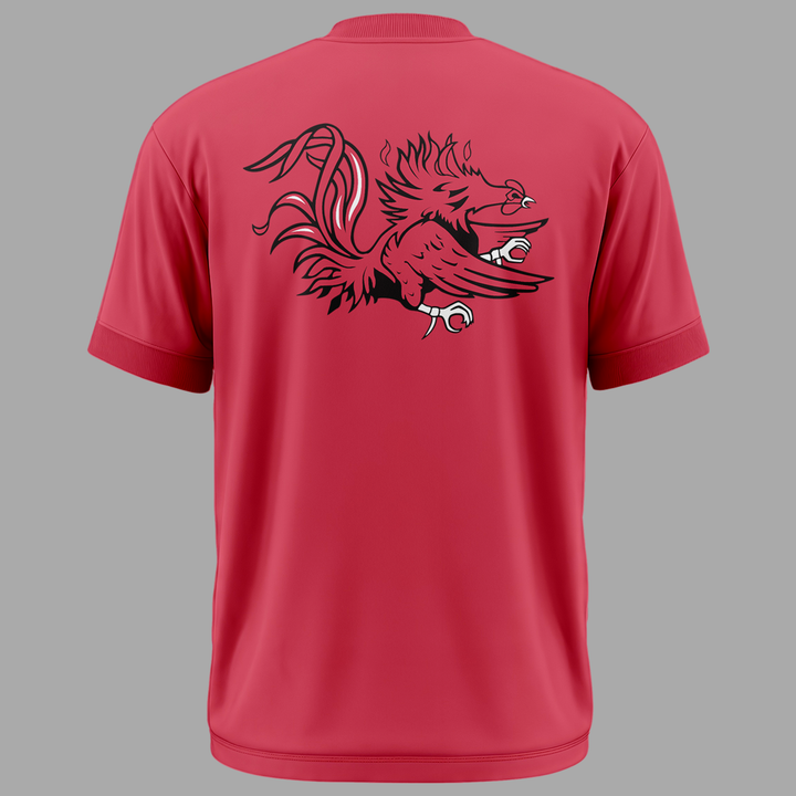 Darius Rucker BORN Gamecocks T-Shirt