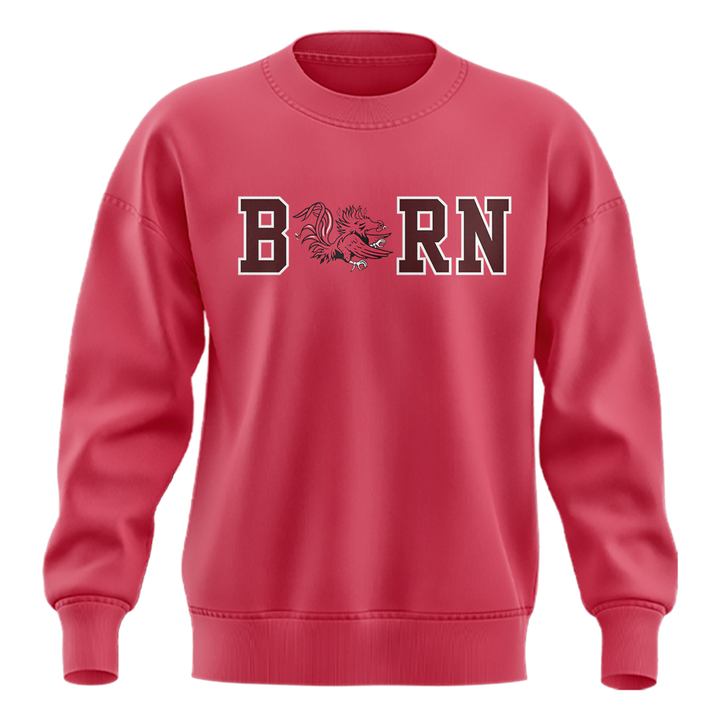 Darius Rucker BORN Gamecocks Sweatshirt
