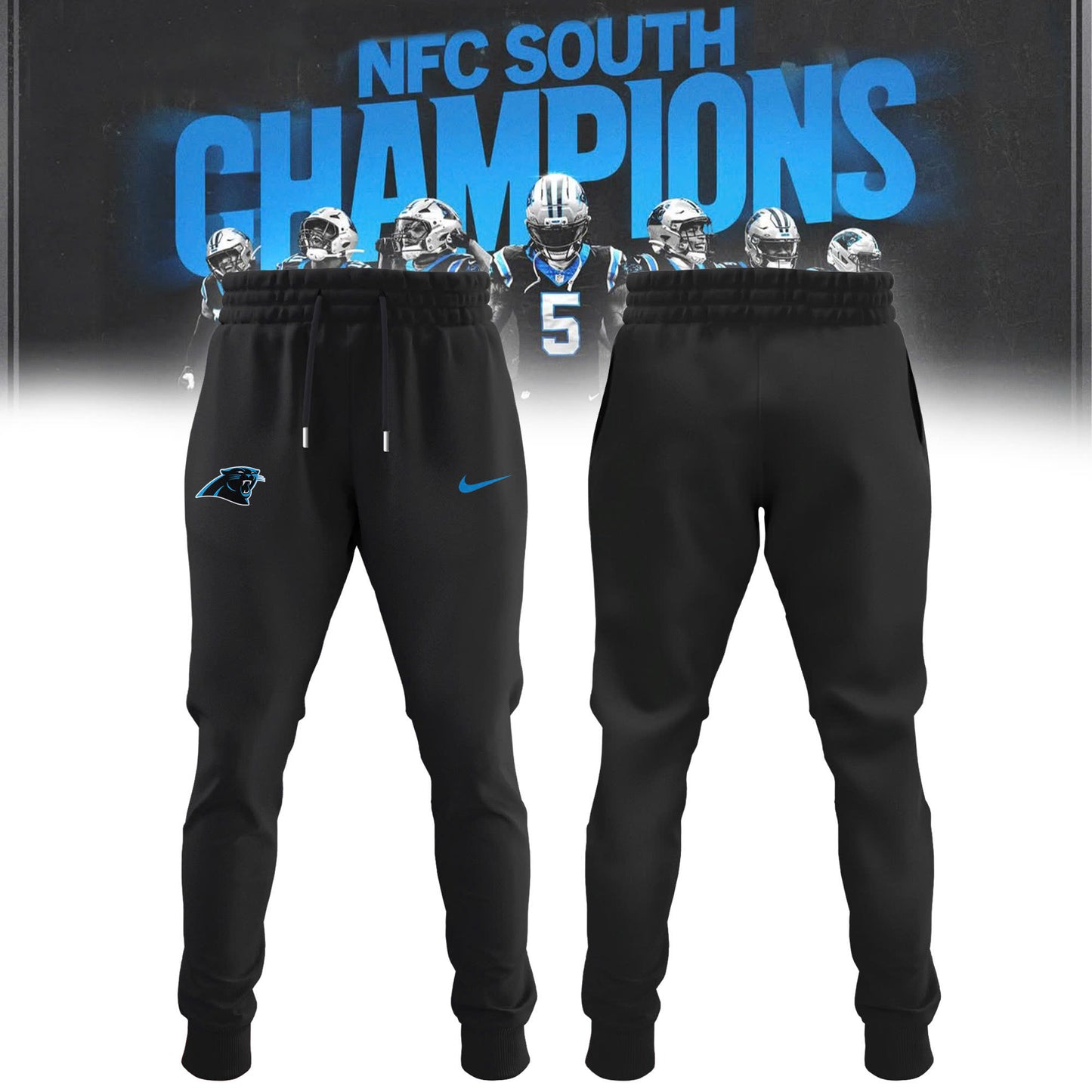 _ Carolina Panthers 2025 NFC South Division Champions Locker Room Hoodie